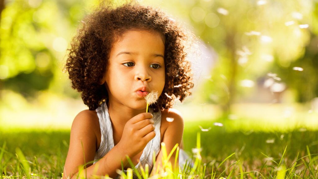 A little girl blows a dandelion