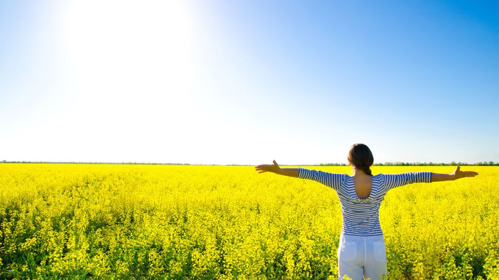 A woman stands, arms outstretched, in a sun-drenched field of yellow flowers