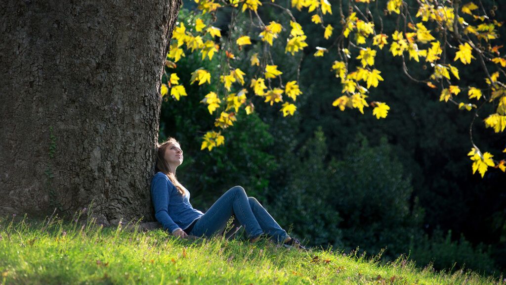 A young woman gazes skyward while sitting under a tree