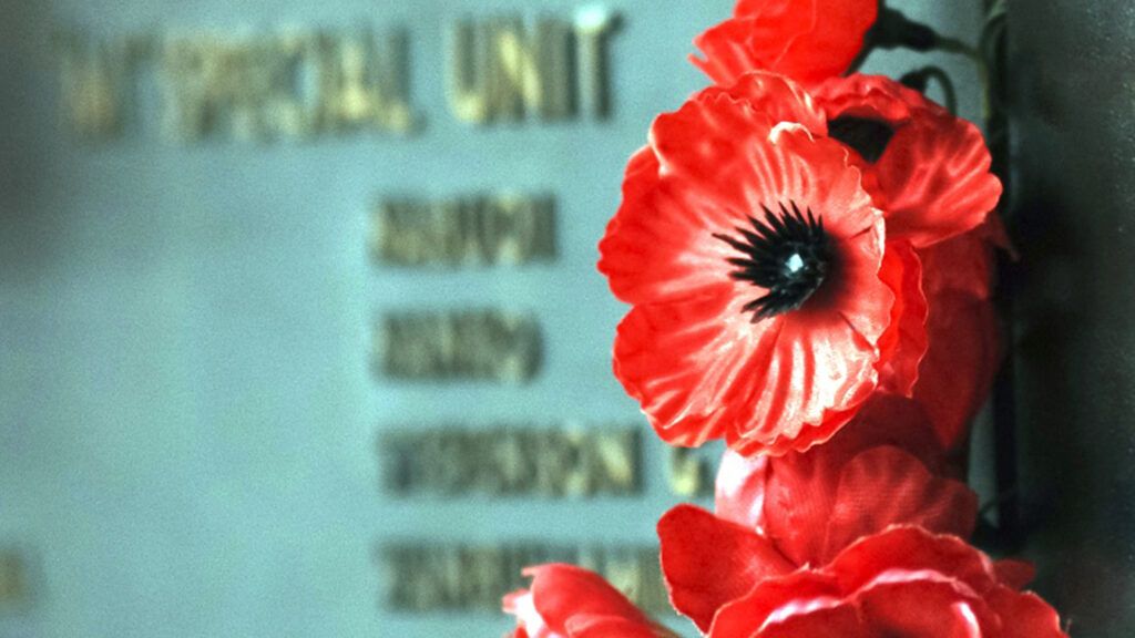 Flowers on a fallen soldier's grave