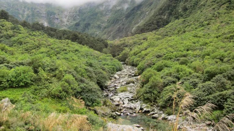 New Zealand's beauty.