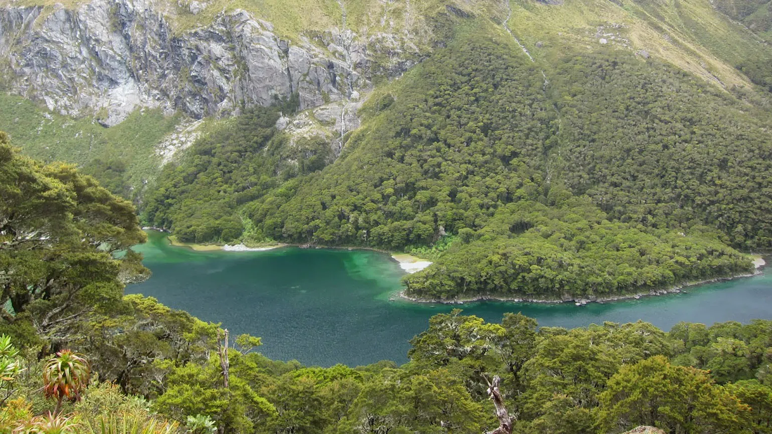 New Zealand's Routeburn Track