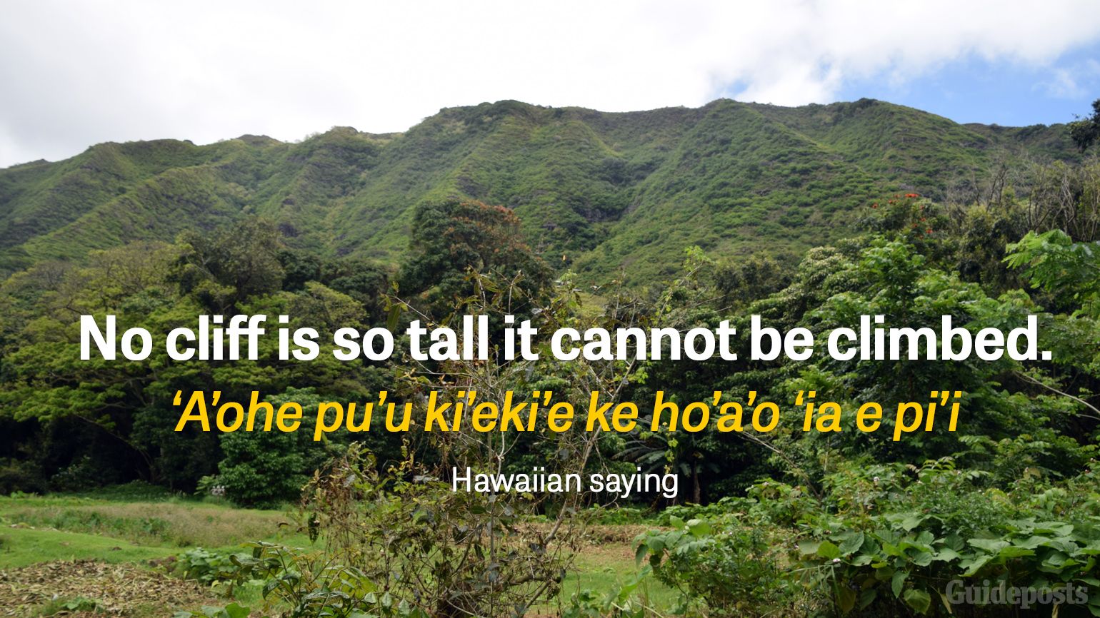 No cliff is so tall it cannot be climbed. ‘A’ohe pu’u ki’eki’e ke ho’a’o ‘ia e pi’i