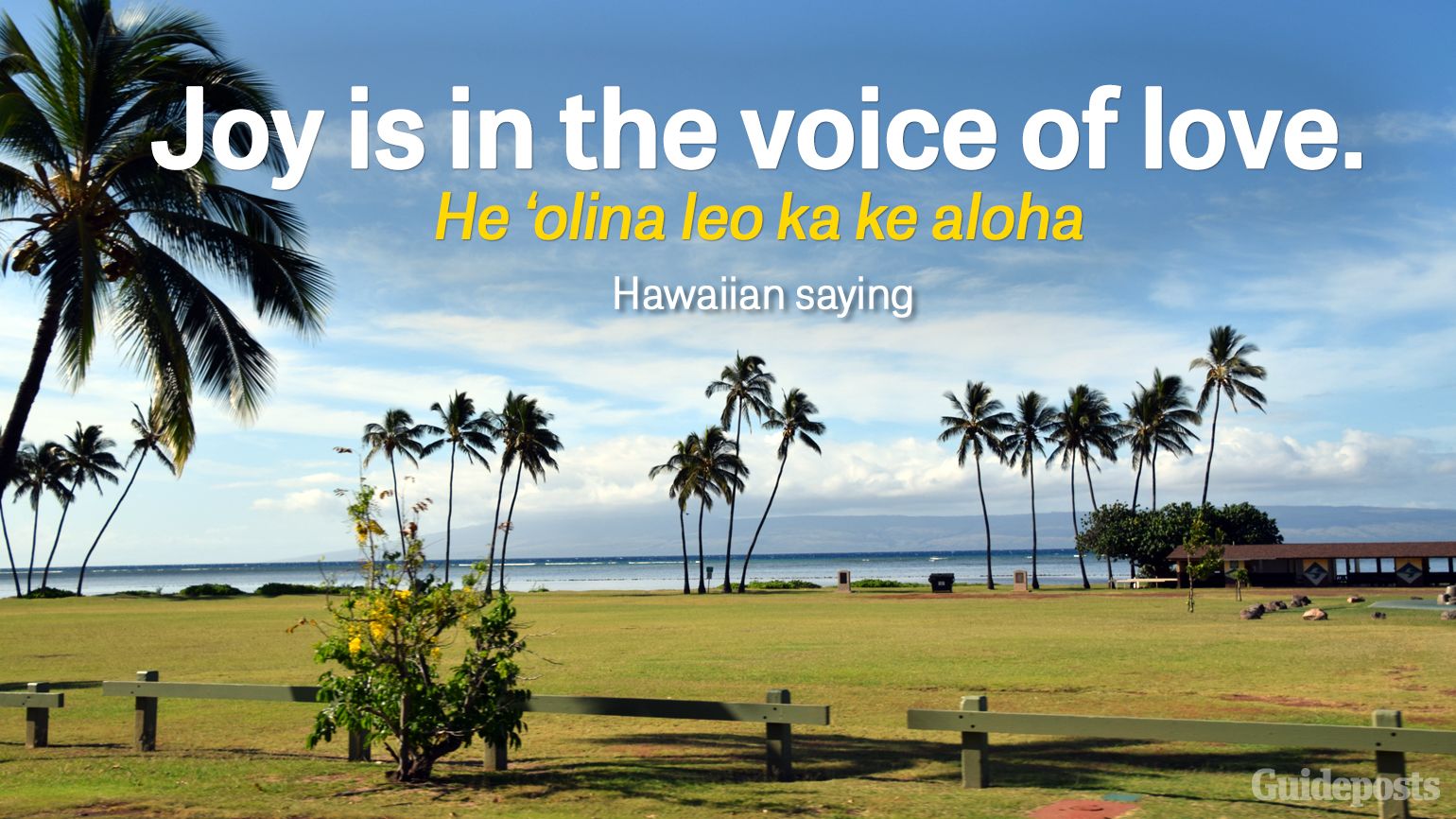 Joy is in the voice of love. He ‘olina leo ka ke aloha