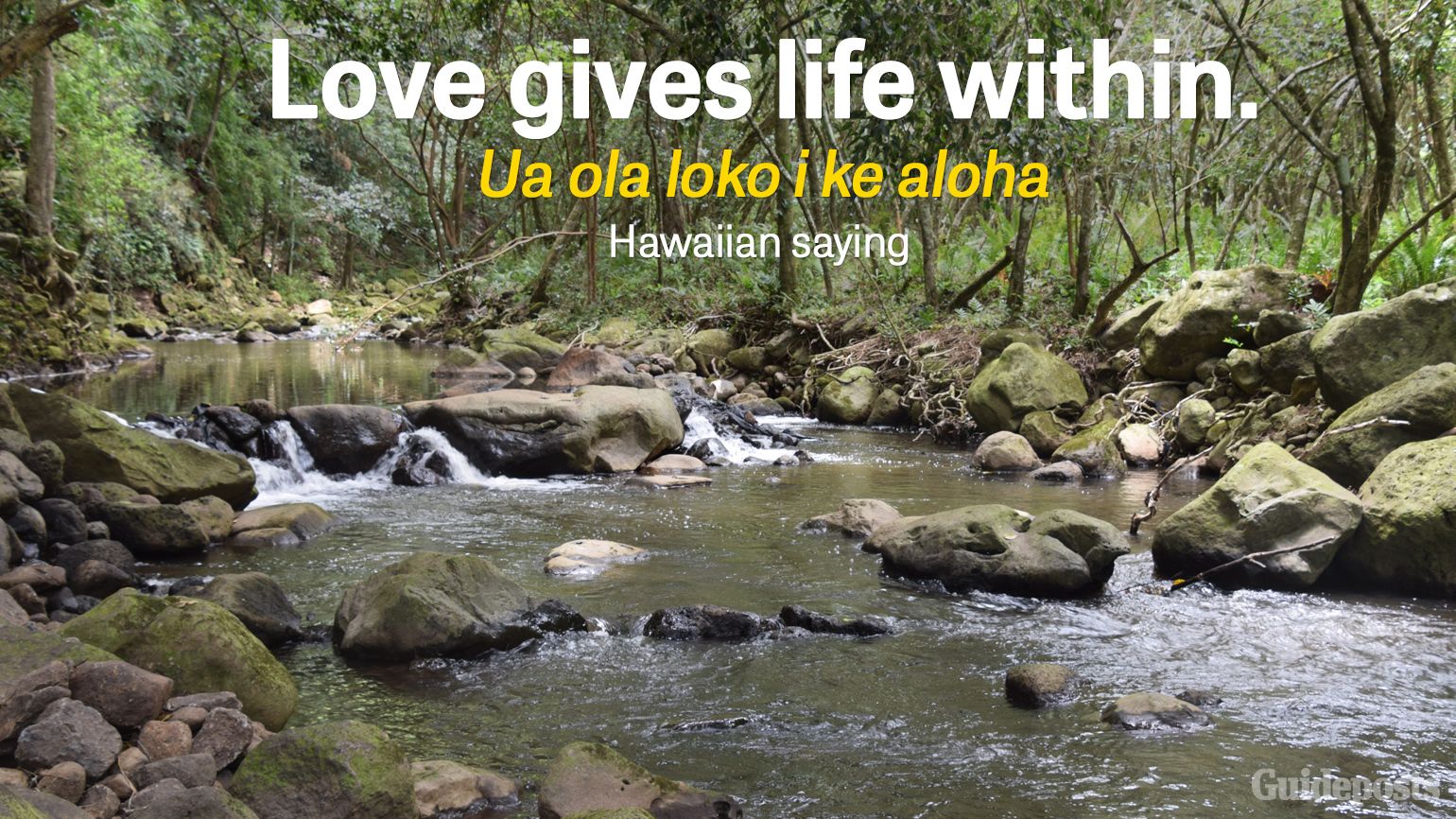 Love gives life within. Ua ola loko i ke aloha