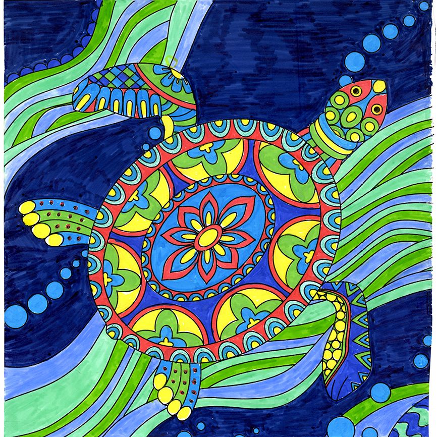 Turtle colored by Donna L. Foster, Sarasota, Florida