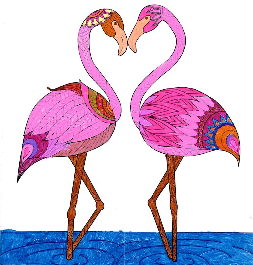 Flamingos colored by Mervin Lapp, age 10, Stasburg, Pennsylvania