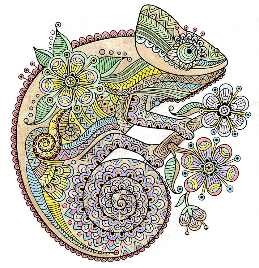 Chameleon colored by Angy