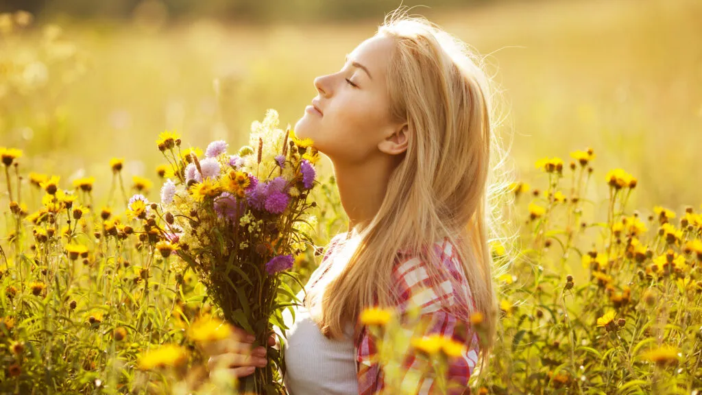 A field of wild flowers