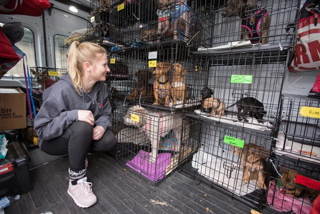 Nina welcomes the pups to New York after a long drive from Oklahoma.