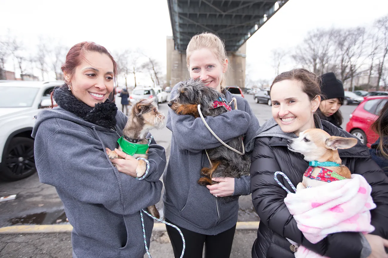 Nina has helped Friends with Four Paws grow to transporting 30 dogs each month. She doesn’t plan on stopping anytime soon.