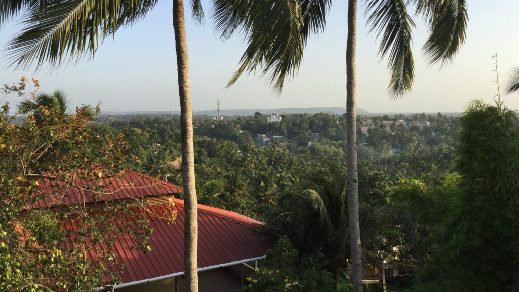 A rooftop photo of the Trivandum, India as palm trees tower above.