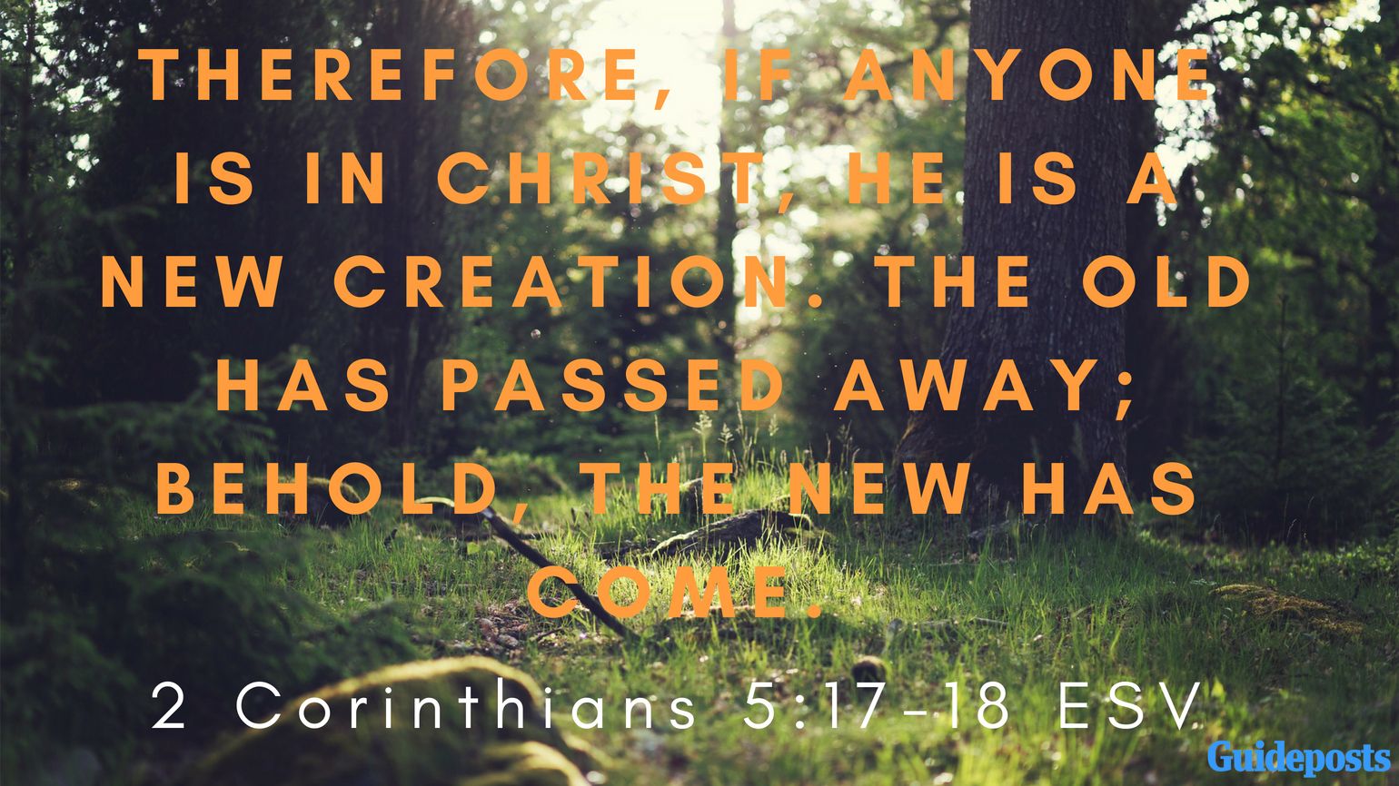 Bible Verses to Help You Forgive Yourself: Therefore, if anyone is in Christ, he is a new creation. The old has passed away; behold, the new has come. 2 Corinthians 5:17-18 ESV better living life advice