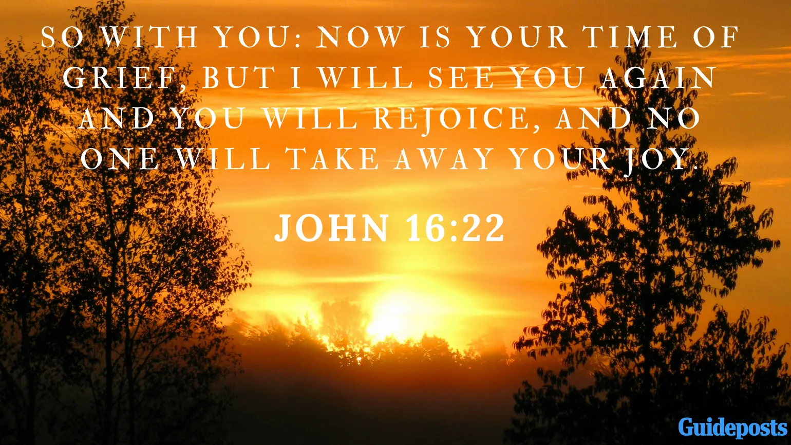 Bible Verse for Coping With Grief: So with you: Now is your time of grief, but I will see you again and you will rejoice, and no one will take away your joy. John 16:22 Better Living Life Advice