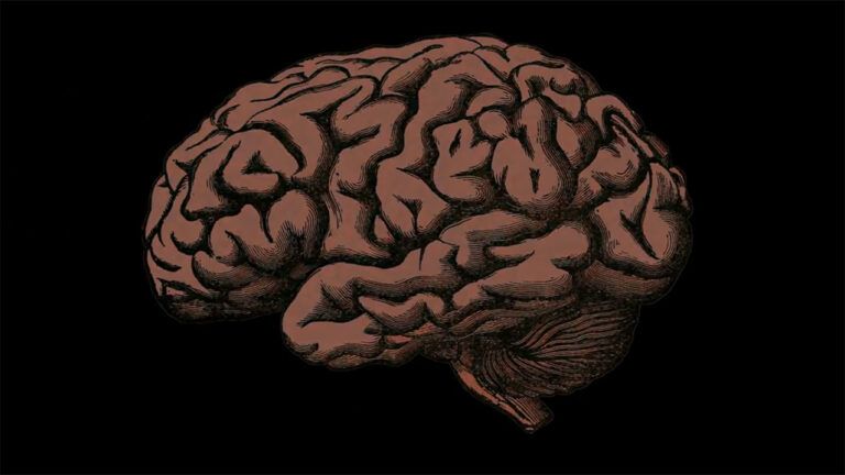 An artist's rendering of a brain