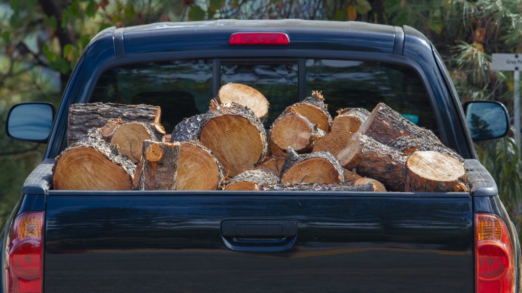 Part of a dark pickup truck trunk full of firewood logs