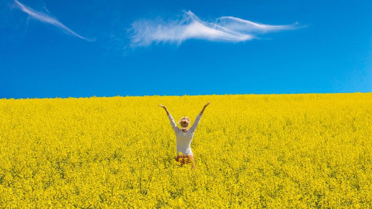 A woman stand joyously in a field of yellow flowers