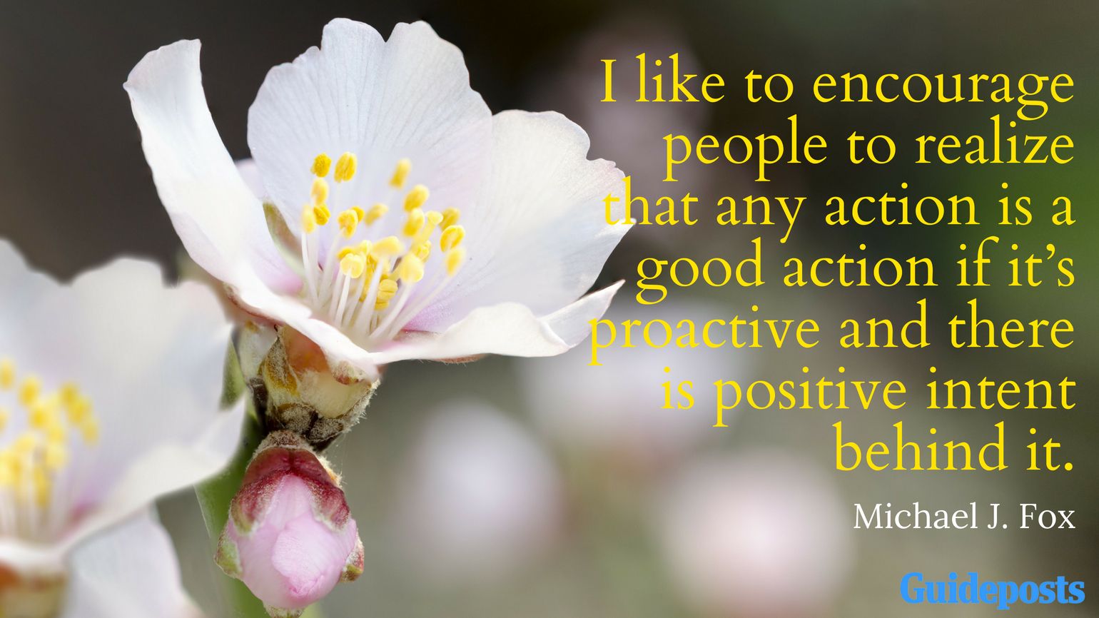 I like to encourage people to realize that any action is a good action if it’s proactive and there is positive intent behind it. Michael J. Fox