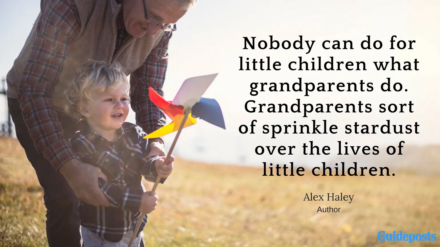 Nobody can do for little children what grandparents do. Grandparents sort of sprinkle stardust over the lives of little children. —Alex Haley, author