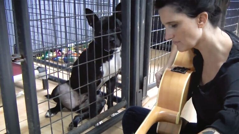 Kitty Snyder serenades shelter dogs and cats.