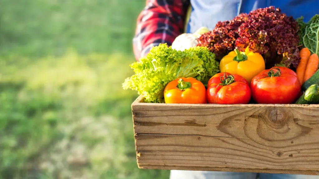 Summer harvest