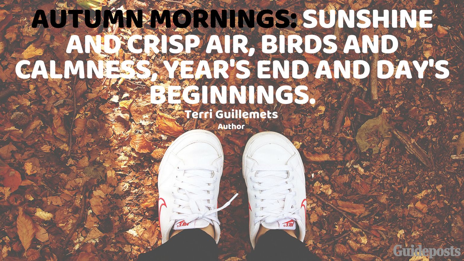 Autumn mornings: sunshine and crisp air, birds and calmness, year's end and day's beginnings. —Terri Guillemets