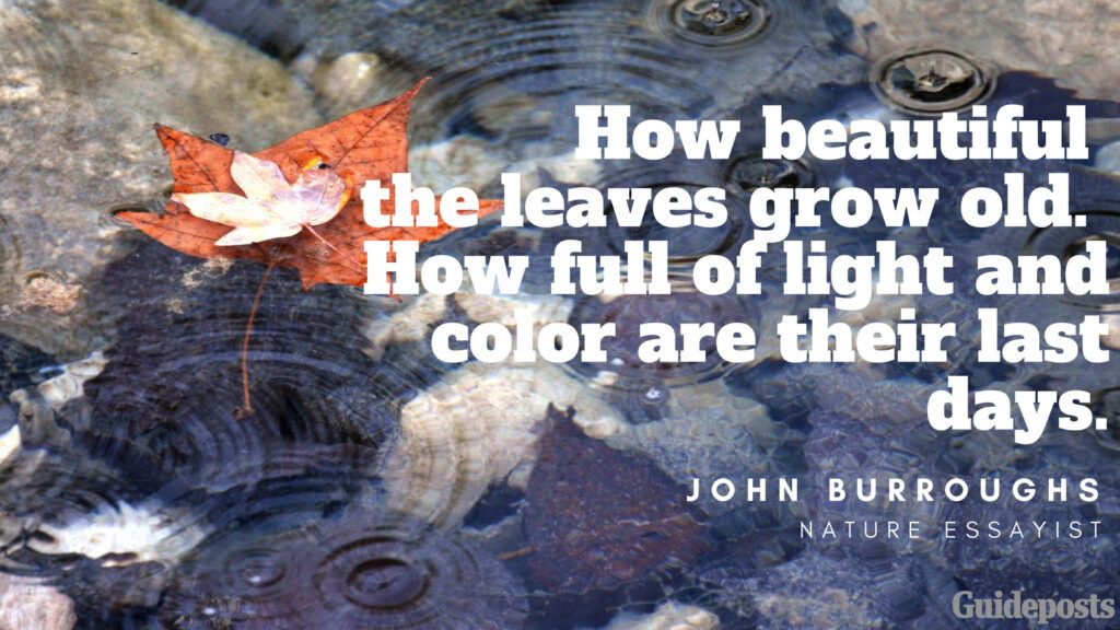 How beautiful the leaves grow old. How full of light and color are their last days. —John Burroughs