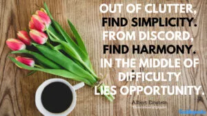 Motivational Quotes for Decluttering: Out of clutter, find simplicity. From discord, find harmony. In the middle of difficulty lies opportunity. - Albert Einstein, Theoretical physicist better living life advice
