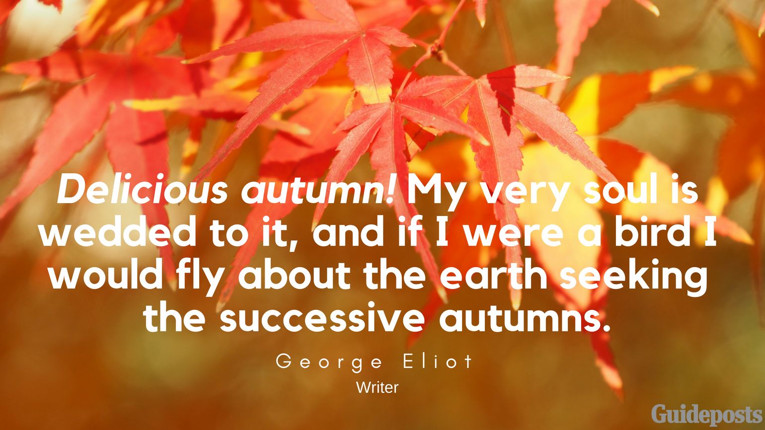 Delicious autumn! My very soul is wedded to it, and if I were a bird I would fly about the earth seeking the successive autumns. —George Eliot