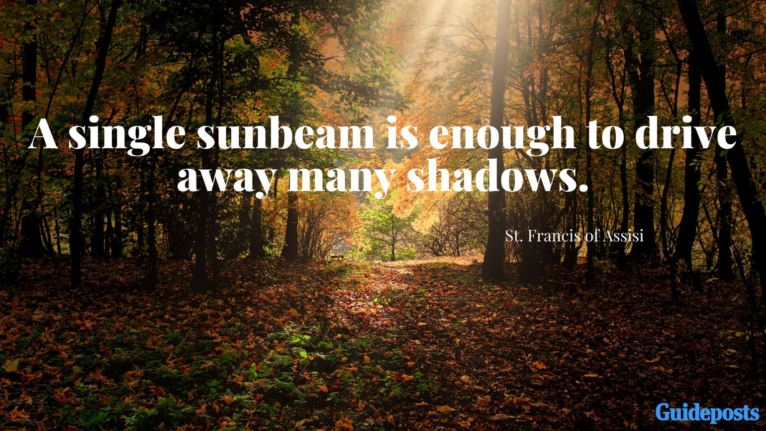 A sunbeam peeking through the forest with Saint Francis quotes