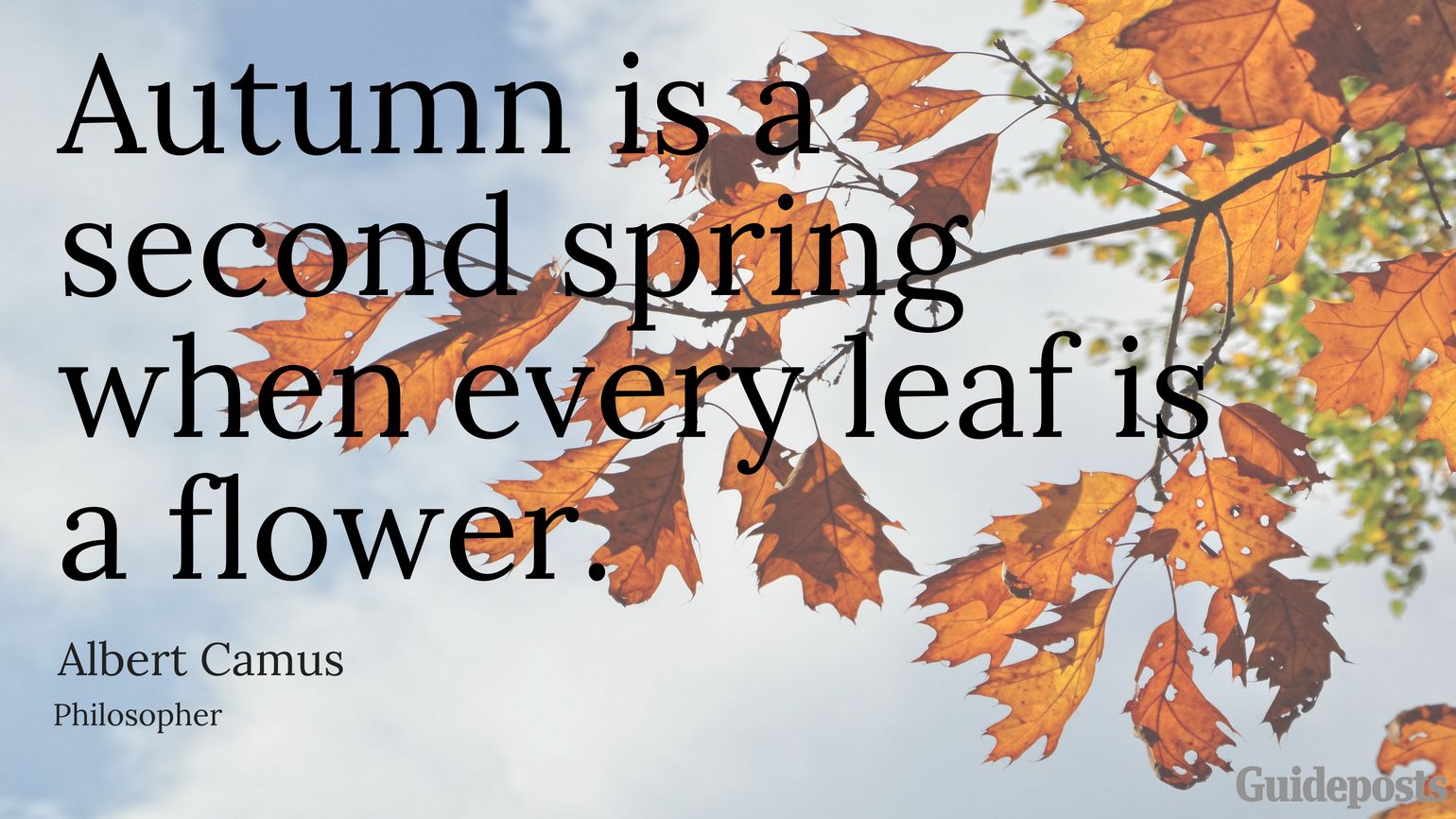 Autumn is a second spring when every leaf is a flower. —Albert Camus