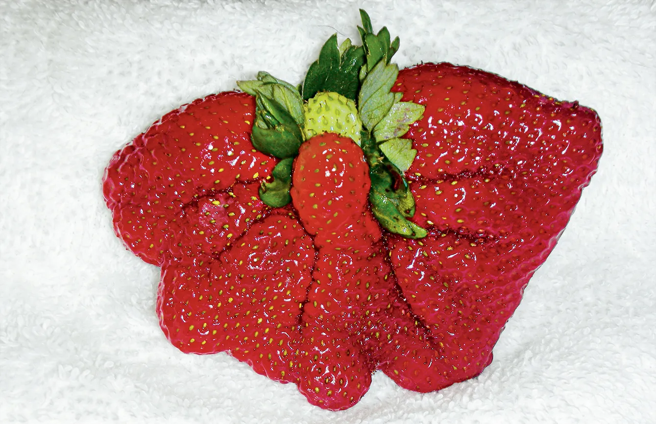 Dawn Adams's strawberry angel