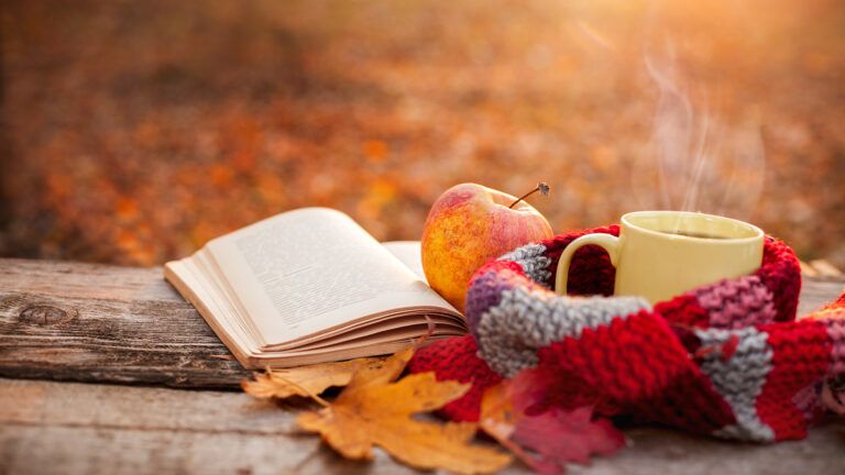 A book, an apple, a cup of coffee and a woolen scarf rest on on a bench on an autumn afternoon