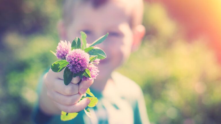 A smiling little boy holds out a freshly picked bunch of purple flowers