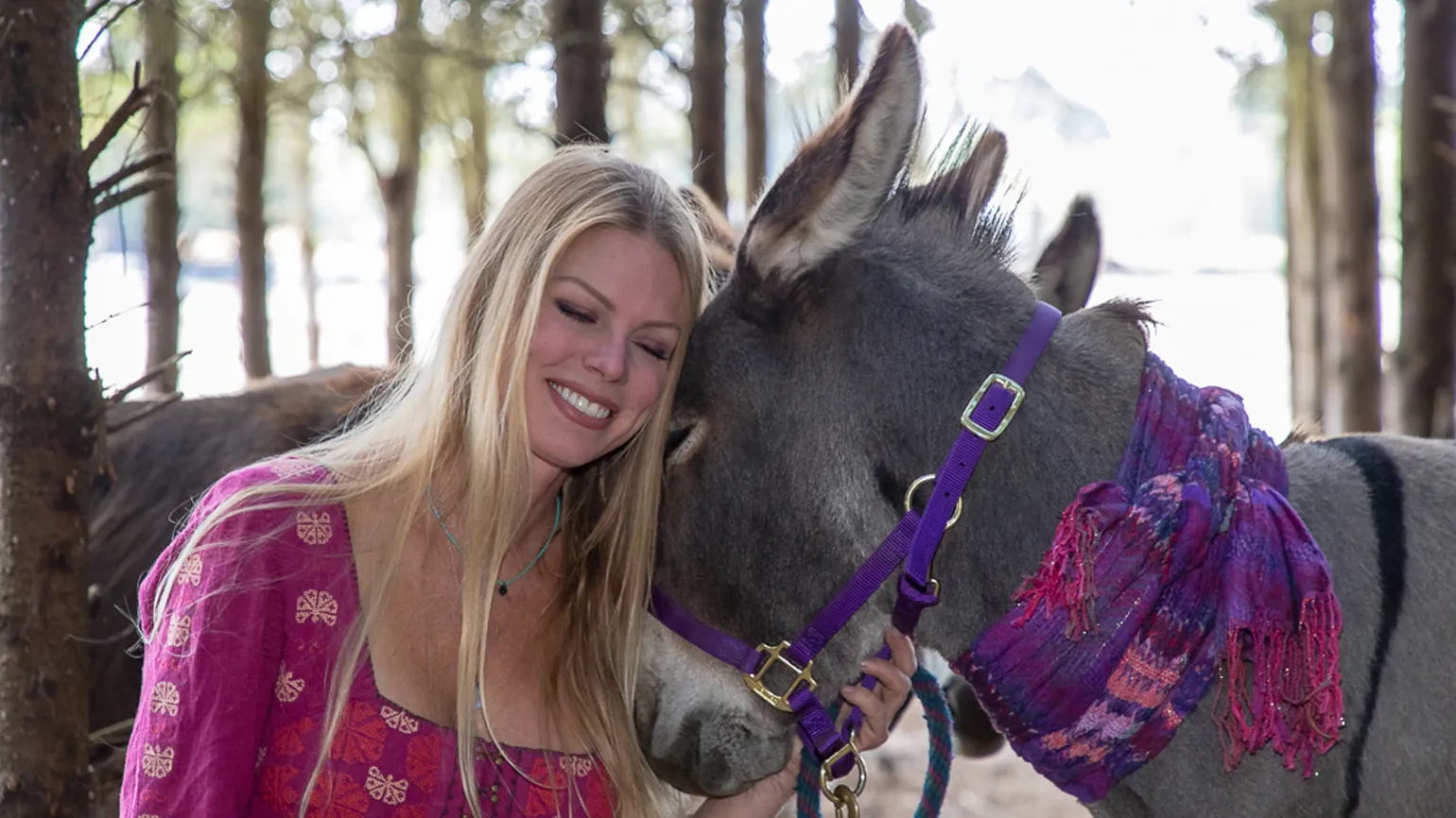 When Robin saw the shift in Ronnie, she knew she had made the right decision in bringing him to the sanctuary.