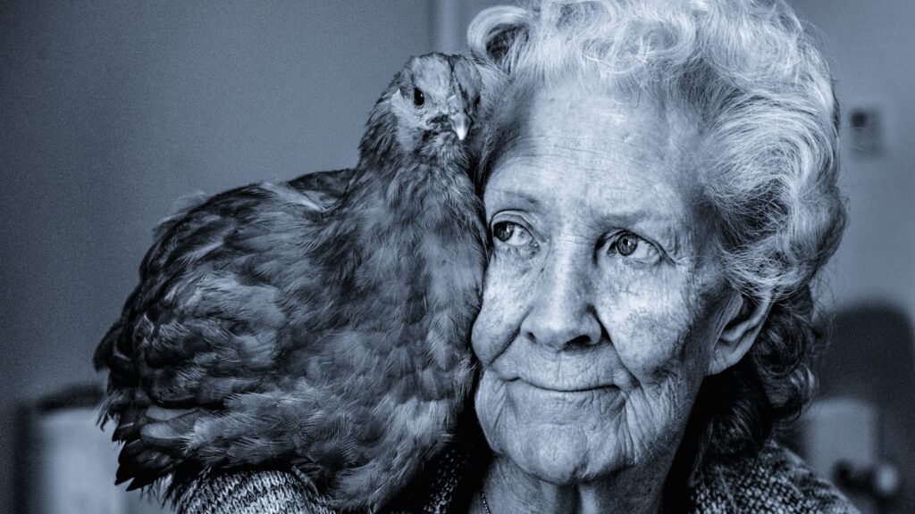 A senior woman with a hen on her shoulder.