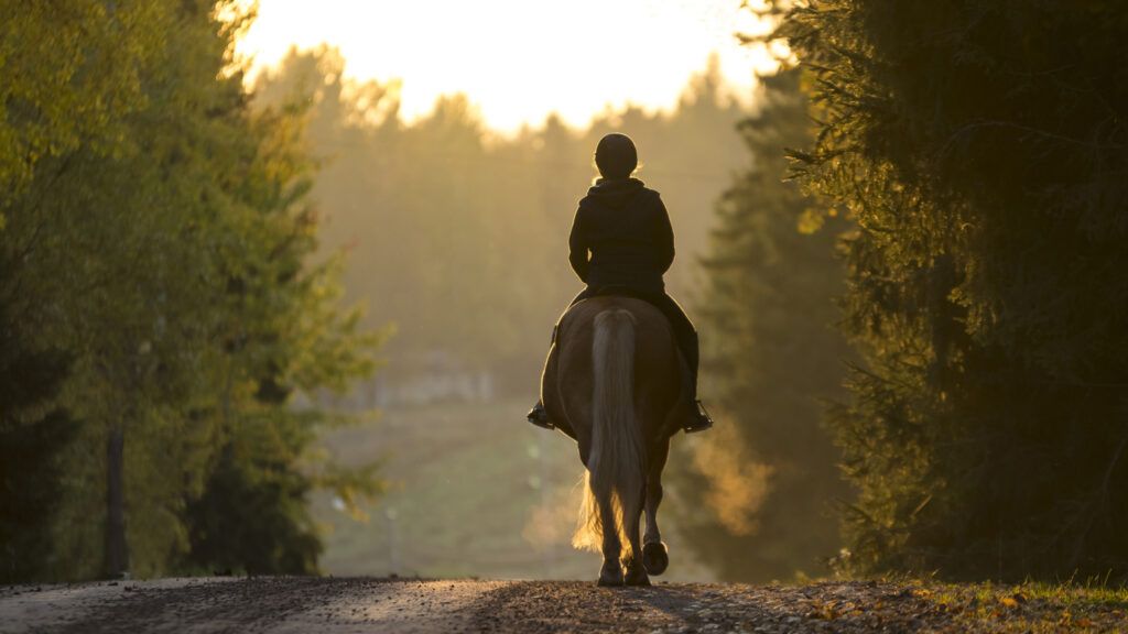 A woman horseback riding during the Autumn season.