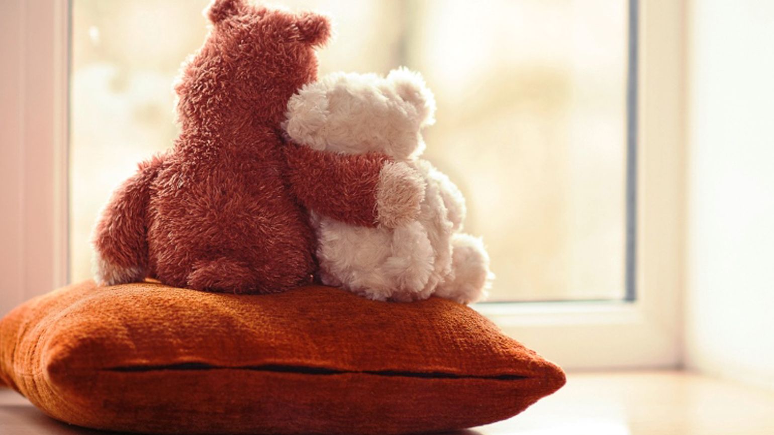 Teddy Bear Gifting: What Does Gifting A Teddy Bear Mean? – Goodlifebean