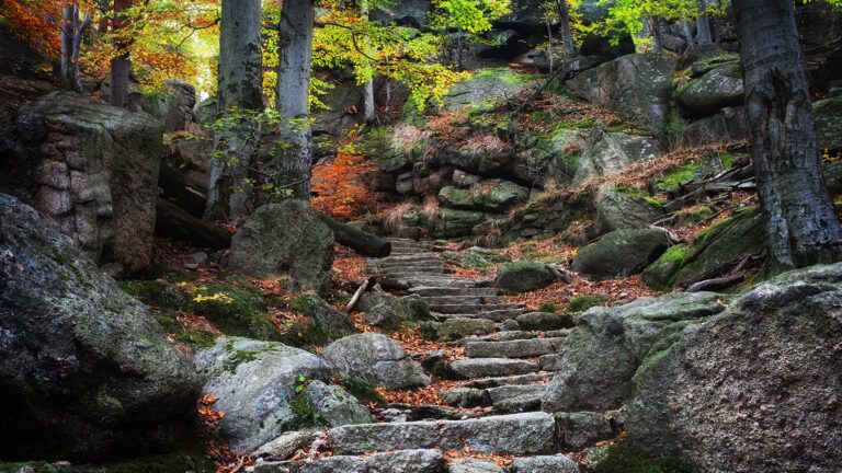 Stone stairs up a mountainside
