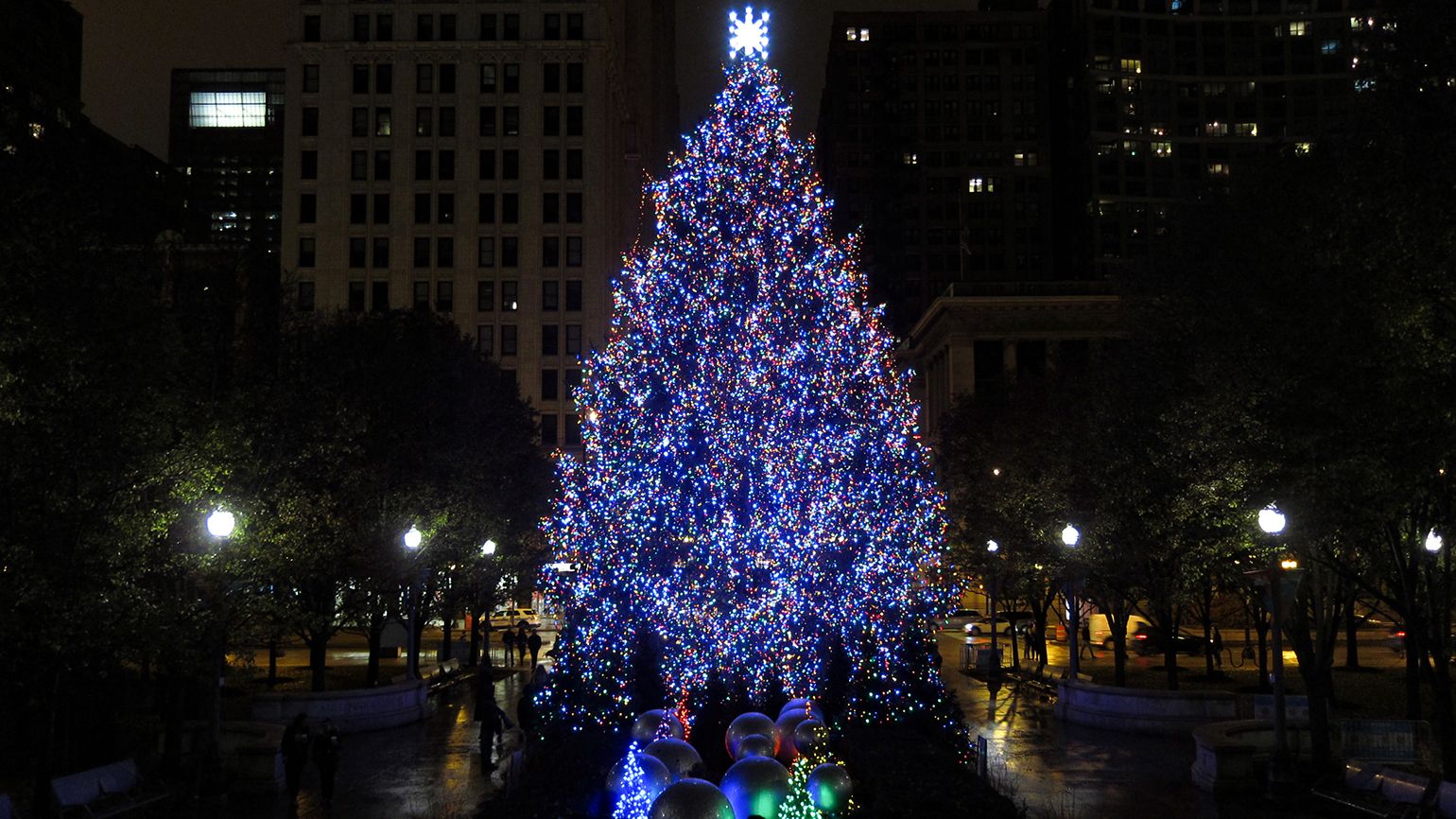 The Windy City's had an official city tree since 1913. For more than a half-century, it was installed in Grant Park, then it spent nearly five decades in Daley (formerly Civic Center) Plaza, but since 2015, the tree has called Millennium Park home.