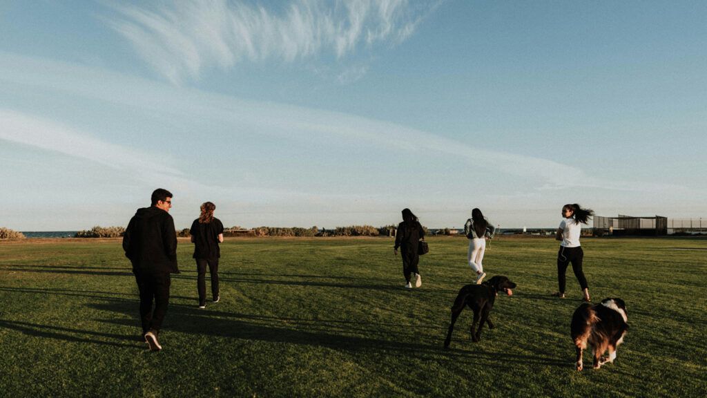 Group of people jogging on a green field during daytime.