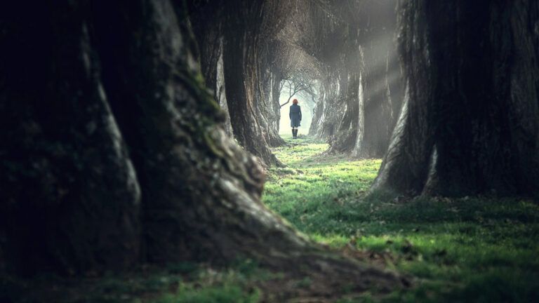 A woman walks through sunbeams in a dark forest