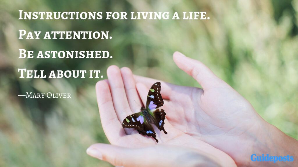 Instructions for living a life.  Pay attention.  Be astonished.  Tell about it.