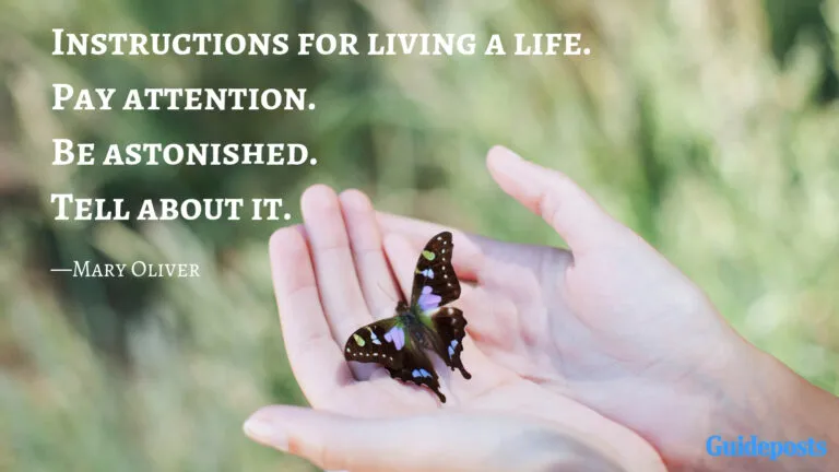 Instructions for living a life.  Pay attention.  Be astonished.  Tell about it.