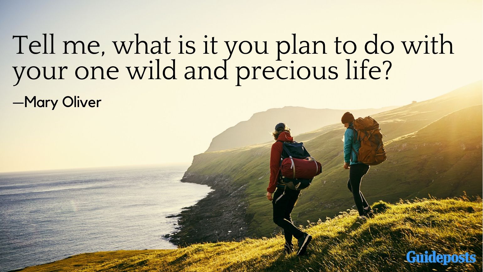 Tell me, what is it you plan to do with your one wild and precious life?