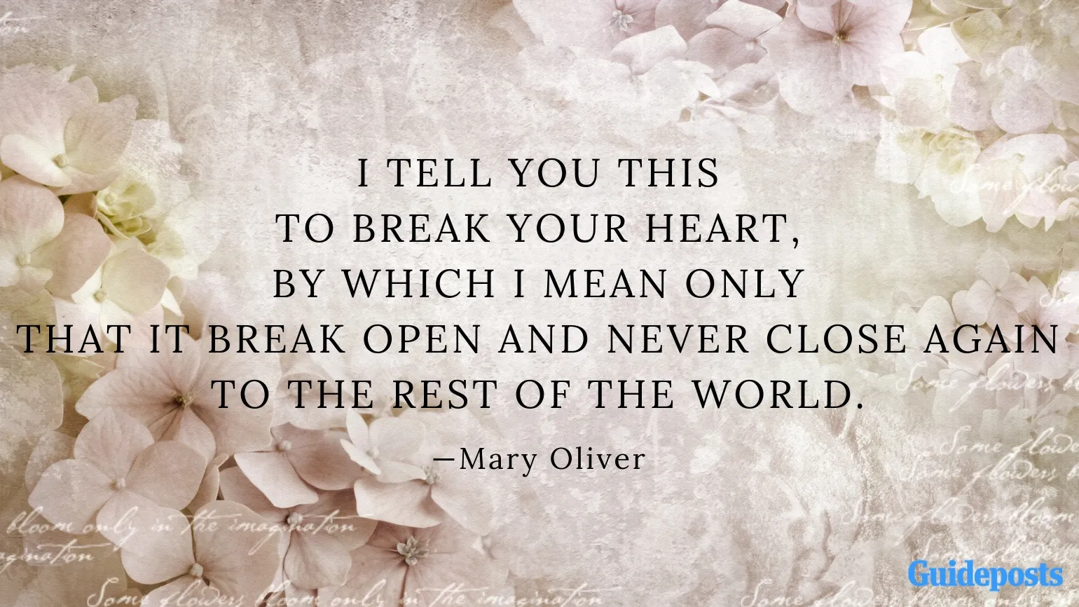 I tell you this to break your heart, by which I mean only that it break open and never close again to the rest of the world.