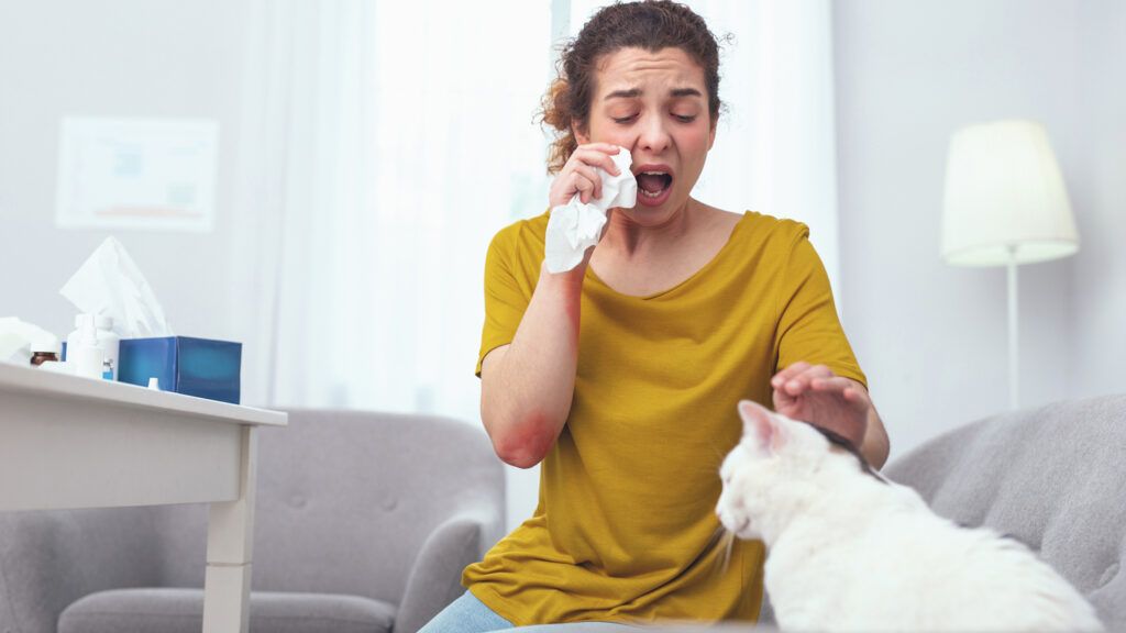 Health Myths About Winter: Allergies are caused by cold weather. Sick woman with cat. better living health wellness
