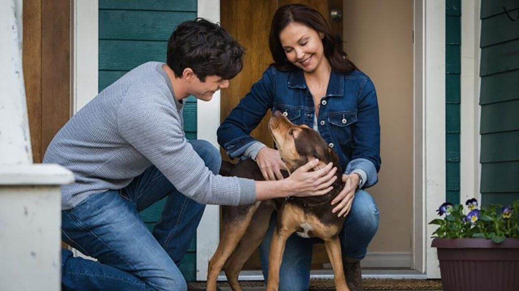 Ashley Judd in A Dogs Way Home