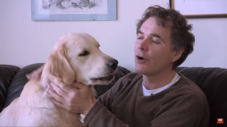 Life and Love Lessons from Man's Best Friend