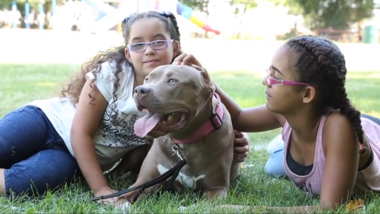 The Dog That Changed Two Little Girls' Lives
